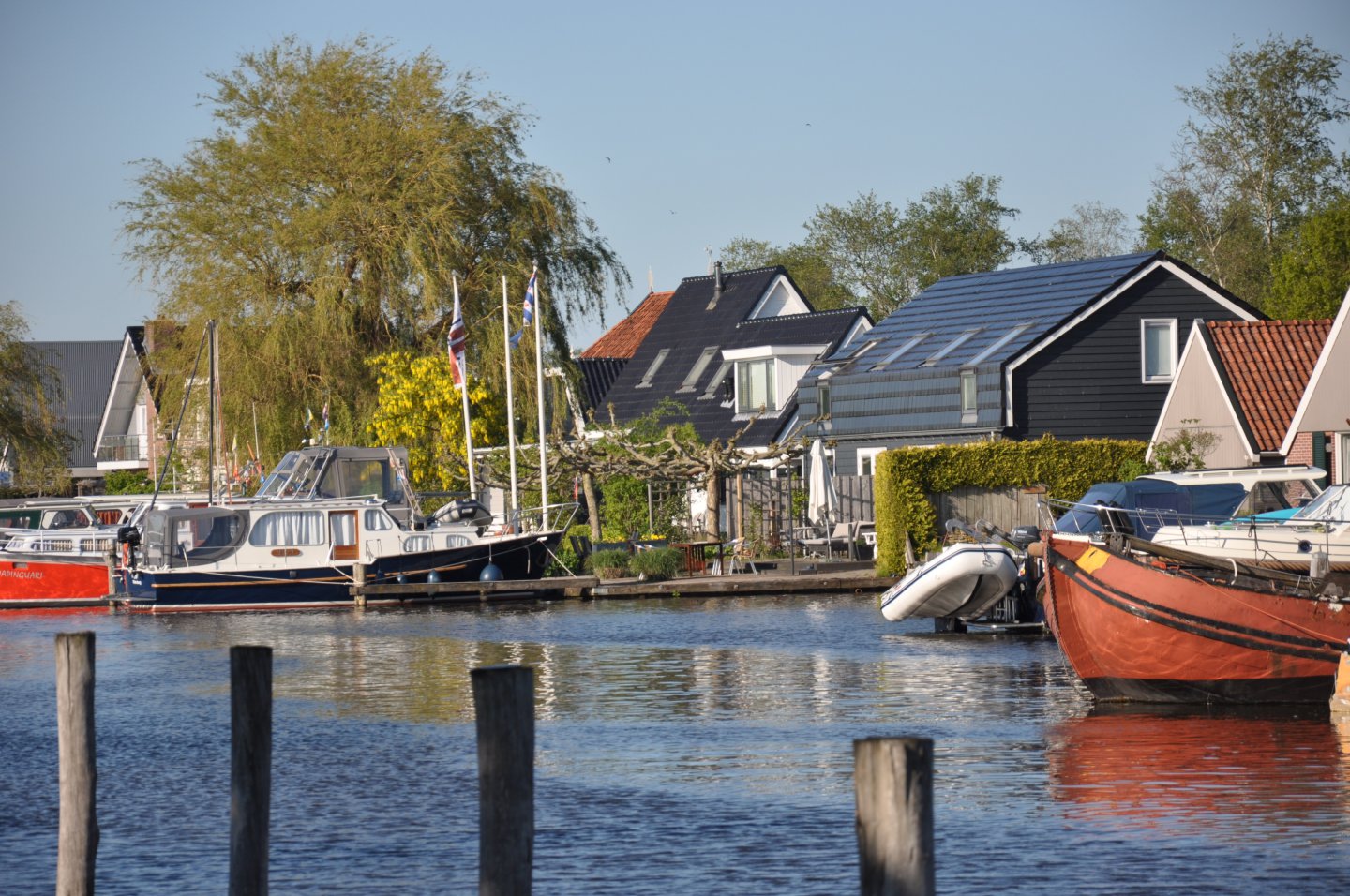 DSC_0982.JPG DSC_0982.JPG